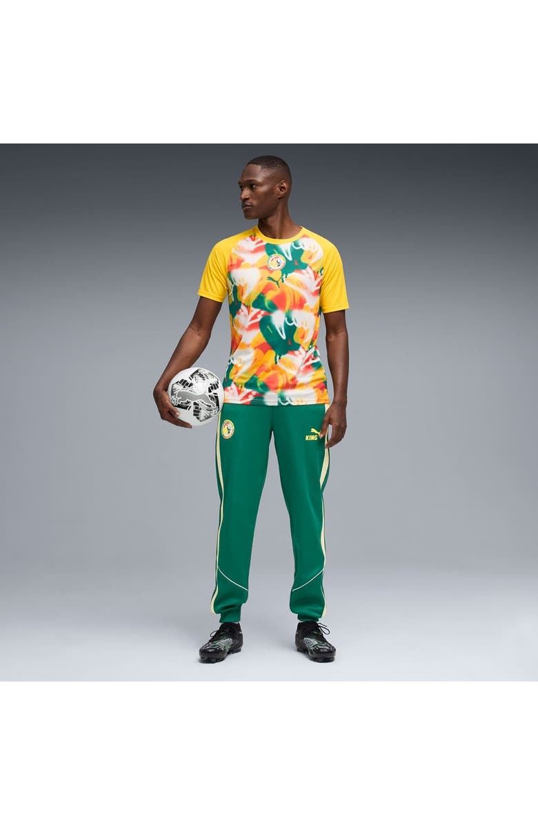 PUMA Men's Puma Yellow Senegal National Team Pre-Match Jersey, Alternate, color, Yellow