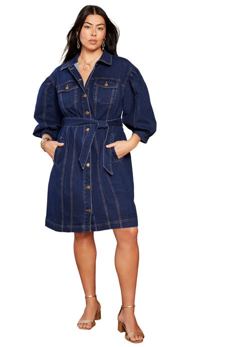 Denim Shirtdress (Plus Available)