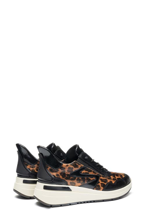 Ara Galicia Sneaker In Black