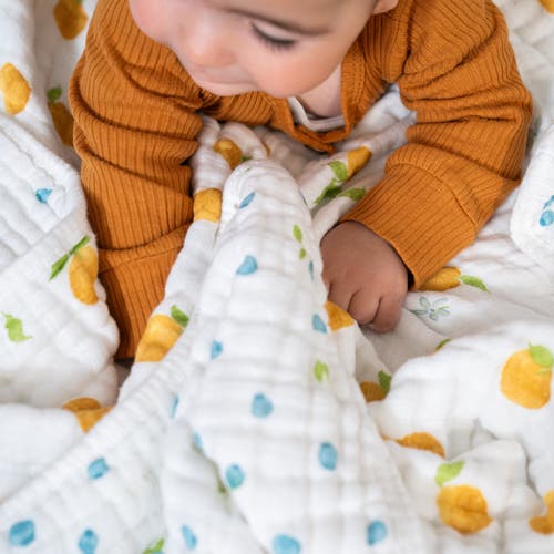 Aden + Anais Organic Dream Blanket In White
