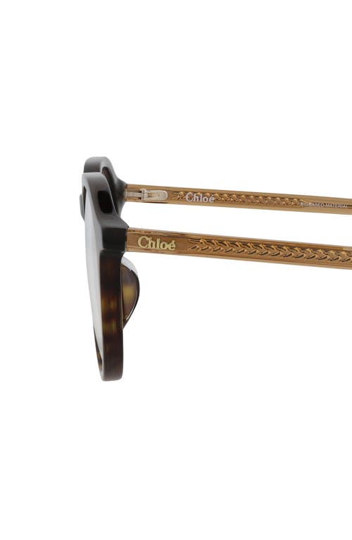 Chloé Core 50mm Round Optical Glasses In Havana Brown Transparent