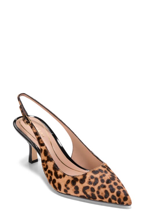 Cole Haan Hansell Slingback Pointed Toe Pump In Animal Print