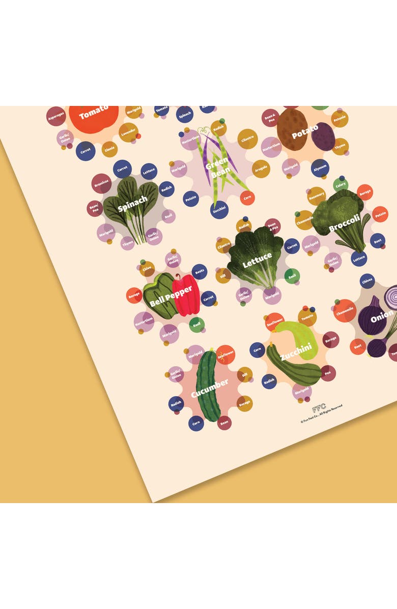 Fun Fact Co. Companion Plants Giclée Print, Alternate, color, Multi