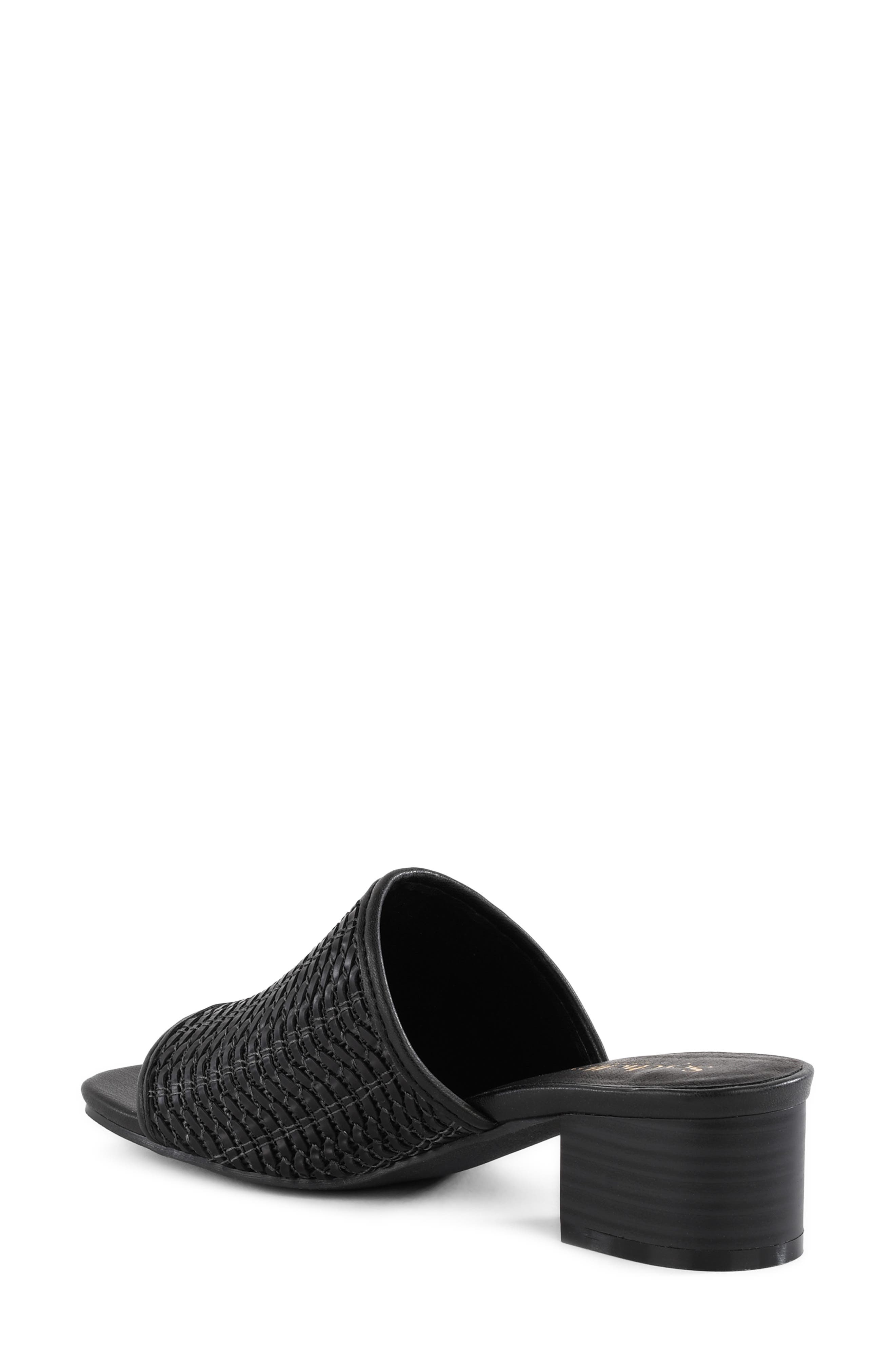 Seychelles Pepper Slide Sandal, Alternate, color, Black