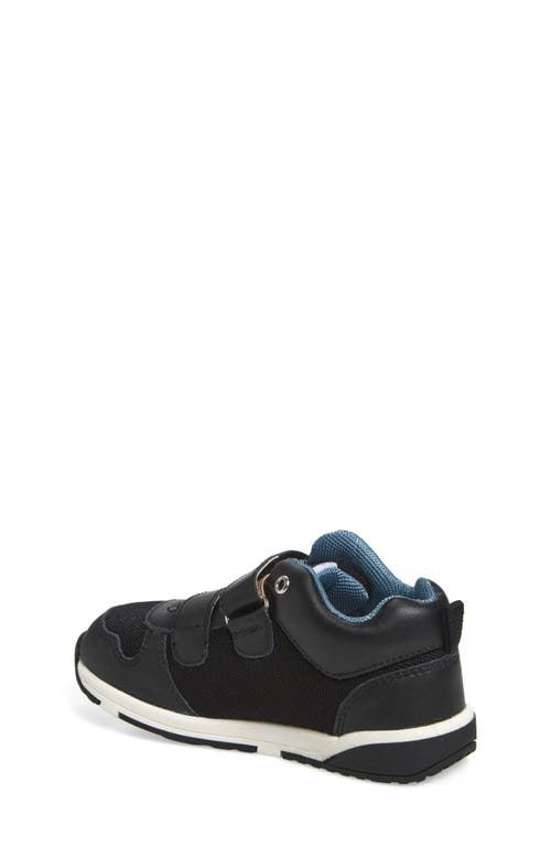 Old Soles Cefalu Sneaker In Multi