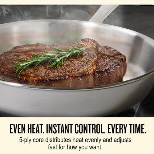Alva Maestro Stainless Steel Cookware Set