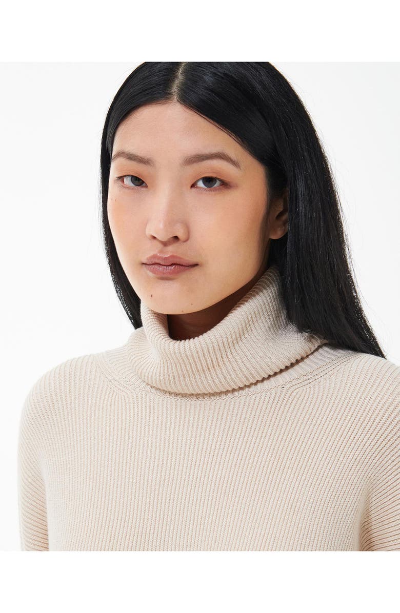 Barbour Stitch Long Sleeve Cotton Blend Rib Turtleneck Sweater Dress, Alternate, color,