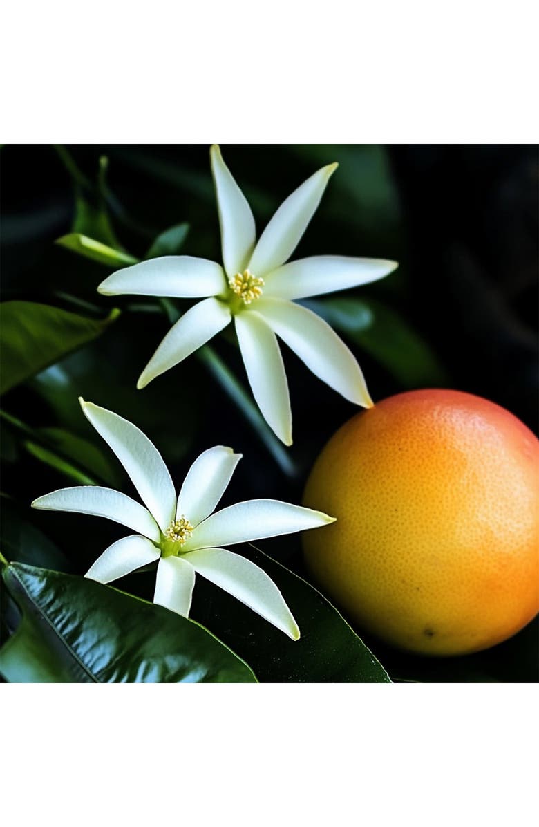 House of Sillage Hauts Bijoux Eau de Parfum, Alternate, color, 