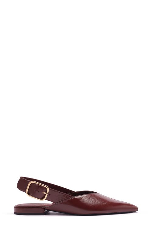 Arezzo Fallon Pointed Toe Slingback Flat