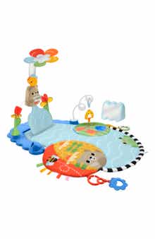 Kick 'n Sway Activity Gym