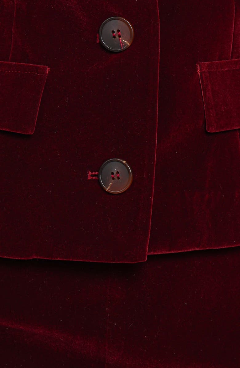 Petal & Pup Lainey Crop Velvet Jacket, Alternate, color, Burgundy