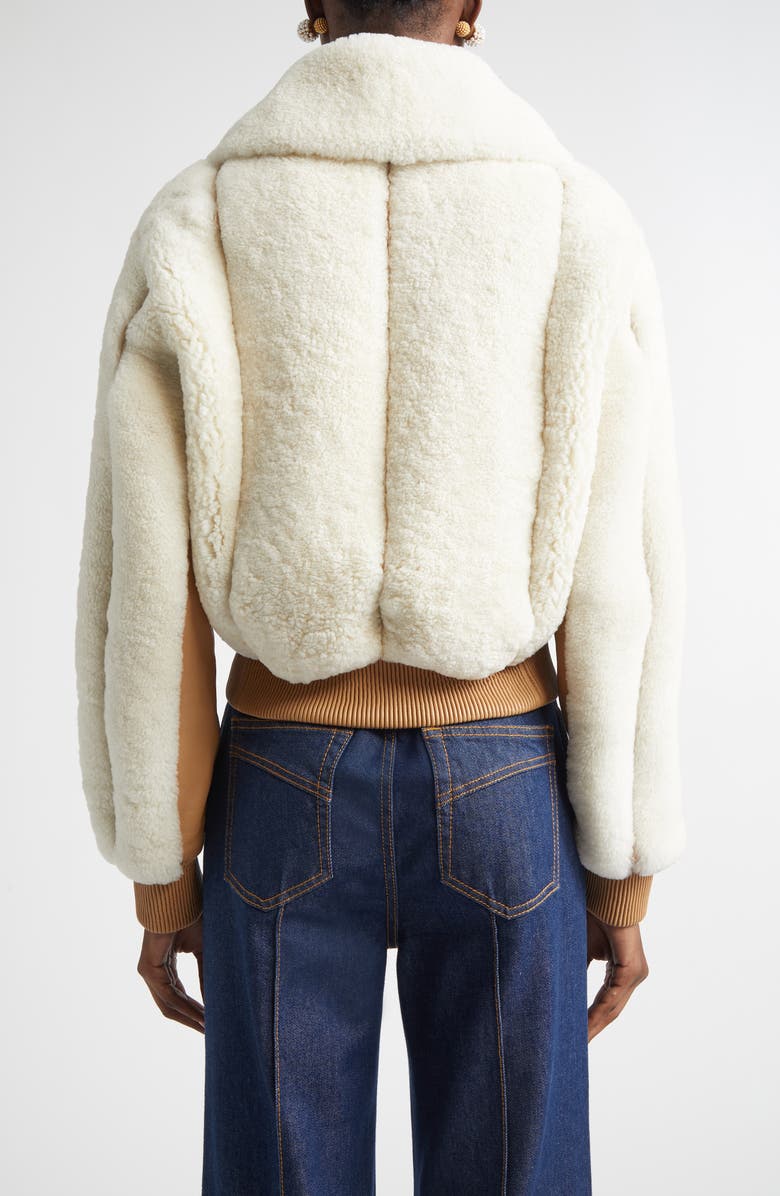 Zimmermann Hypnotic Genuine Shearling Bomber Jacket, Alternate, color, Cream