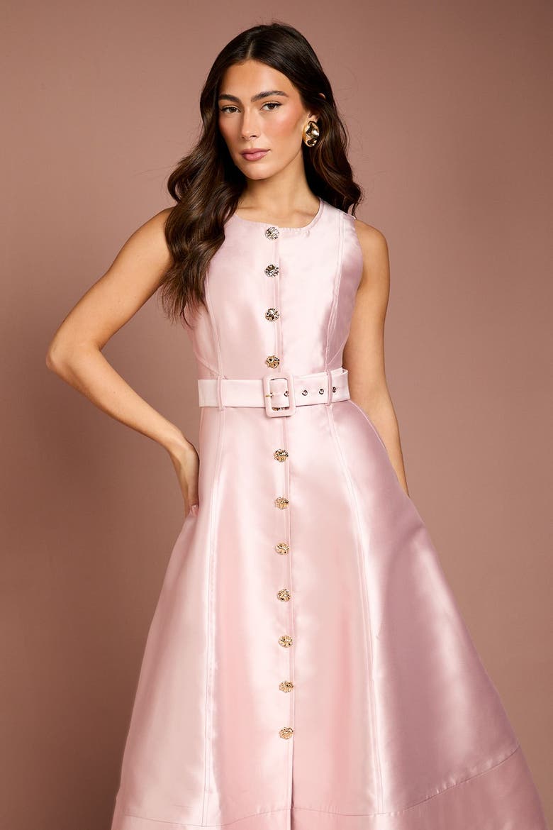Button Through Belted A-Line Dress, Alternate, color, Blush