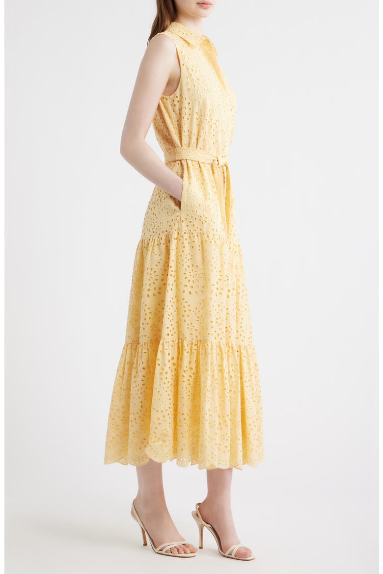 Camila Eyelet Tie Waist Sleeveless Maxi Dress, Alternate, color, CHAMOMILE