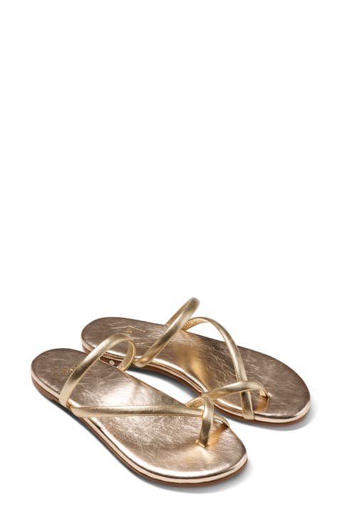 Sunbird Slide Sandal (Women)
