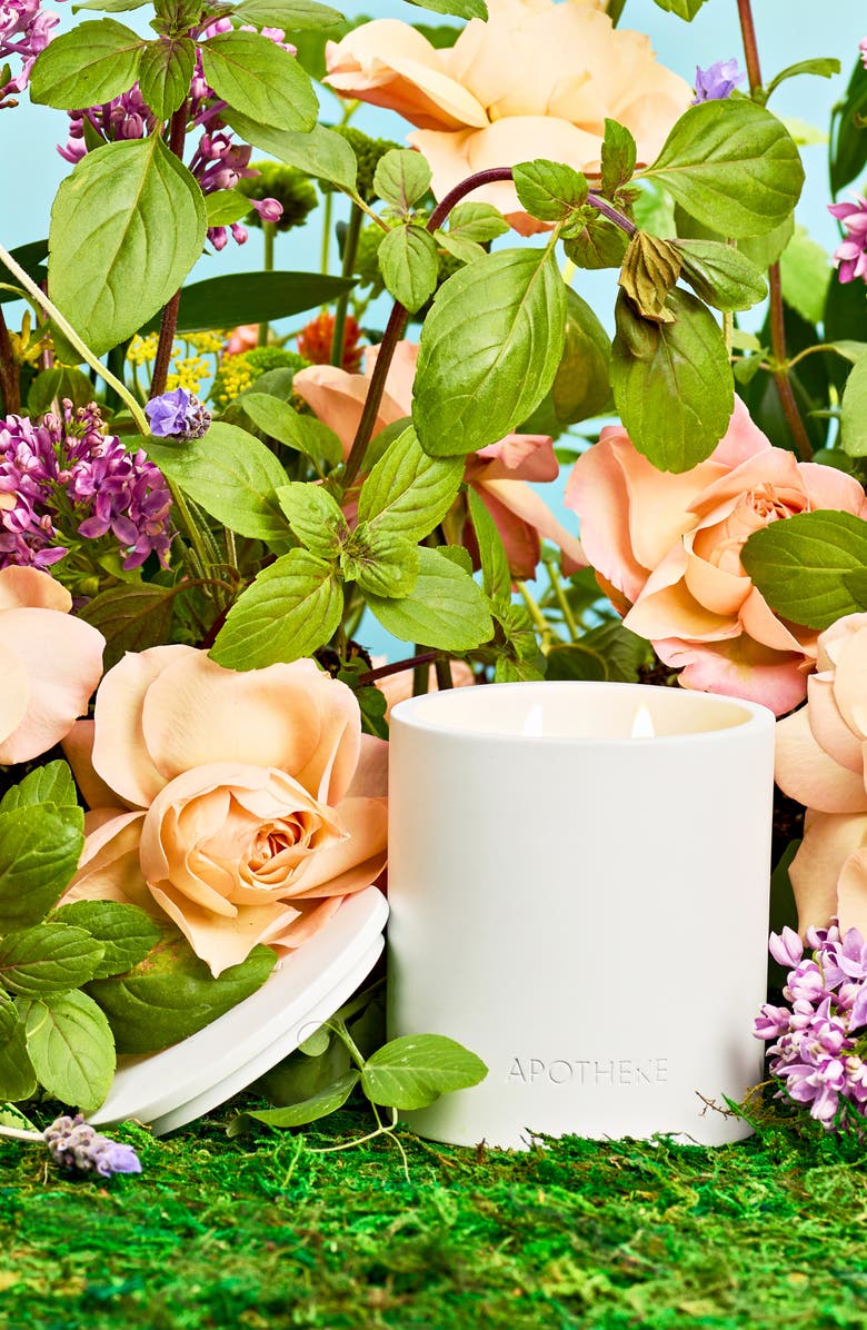 APOTHEKE Holy Basil & Rosewater 2-Wick Concrete Candle, Alternate, color, 