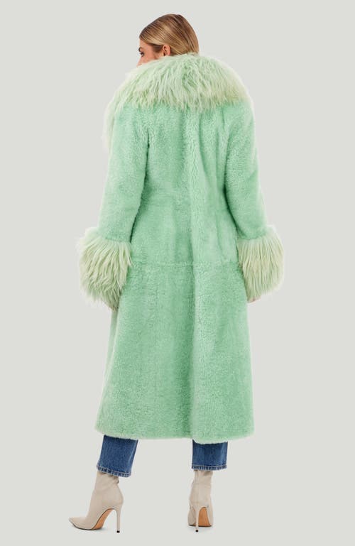 Gorski Cashmere Goat Coat In Green