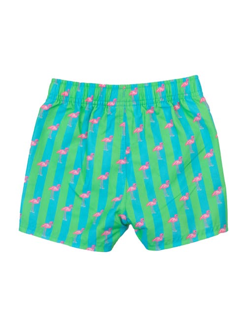 Ruggedbutts Toddler Boys Upf50+ Swim Trunks In Neon Flamingo Stripe