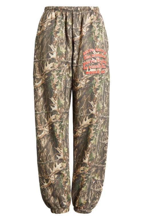 Boys Lie 1-800-manhunt Kimmy Camo Cotton Blend Sweatpants In Multi