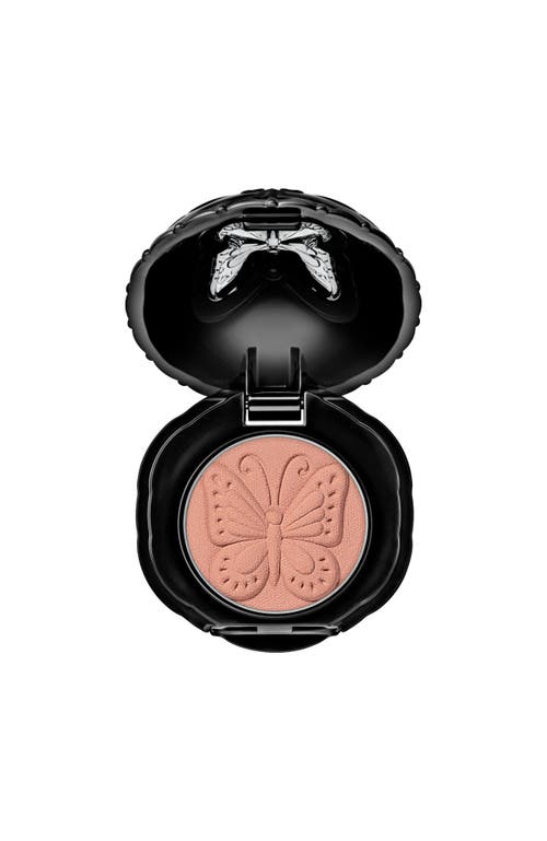 Anna Sui Matte Eye Color