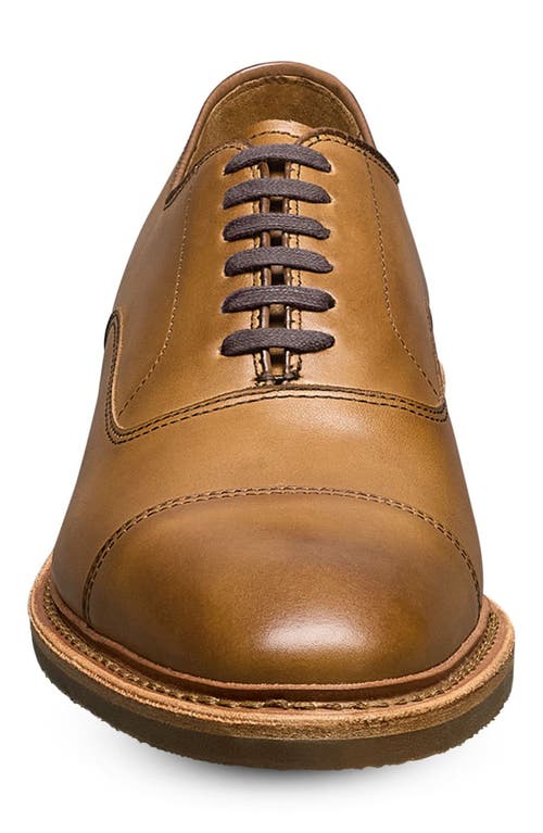 Allen Edmonds Park Verse Oxford In Walnut