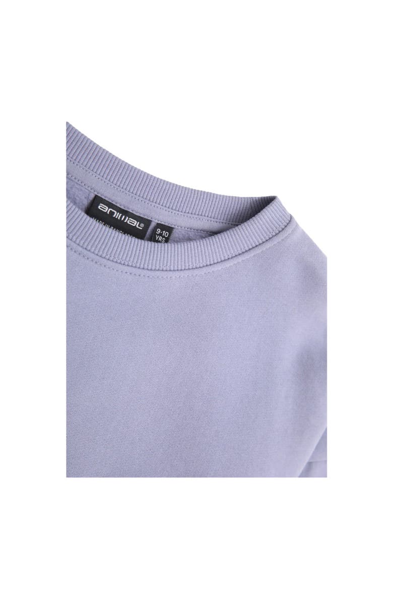 Childrens/Kids Sweatshirt, Alternate, color, Blue
