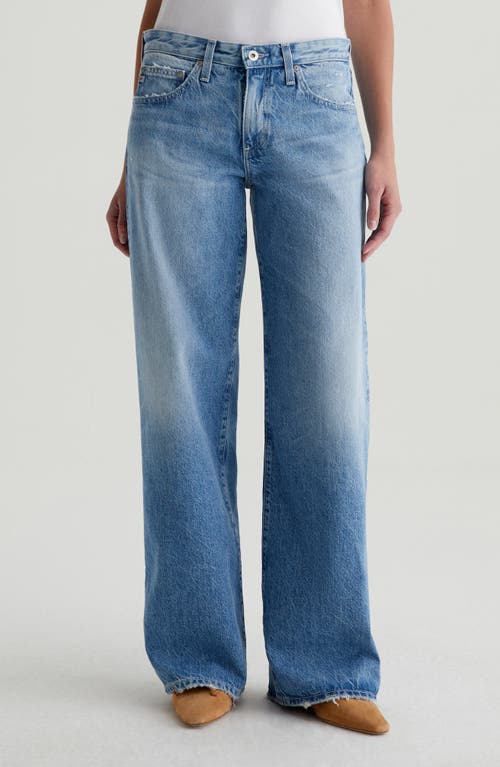 Adria Low Rise Baggy Wide Leg Jeans in 17 Years Divergent  product