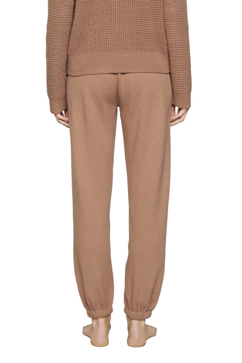 Tie Waist Sweater Pants, Alternate, color, HAZELNUT