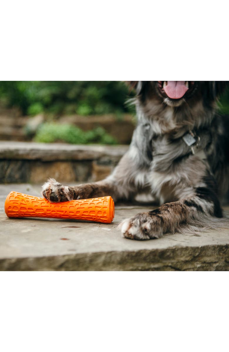 P.L.A.Y .  Nova Stick Dog Toy, Alternate, color, 