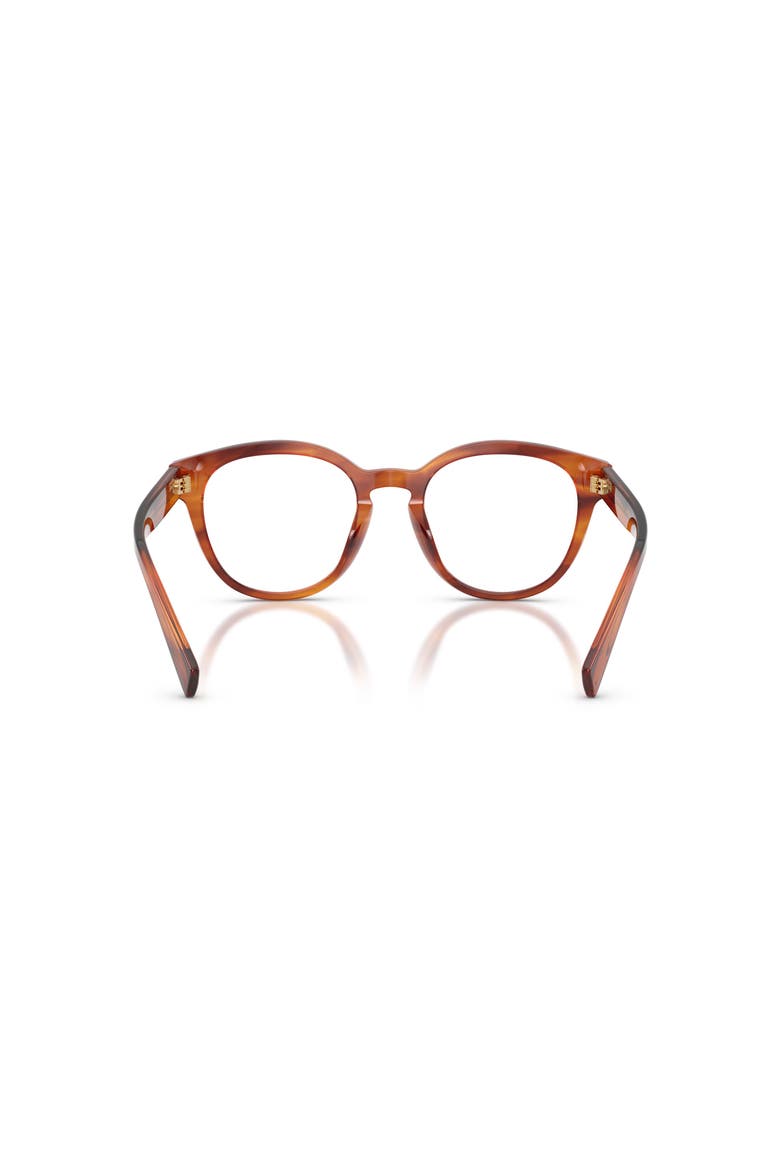 52mm Phantos optical glasses, Alternate, color, Brown