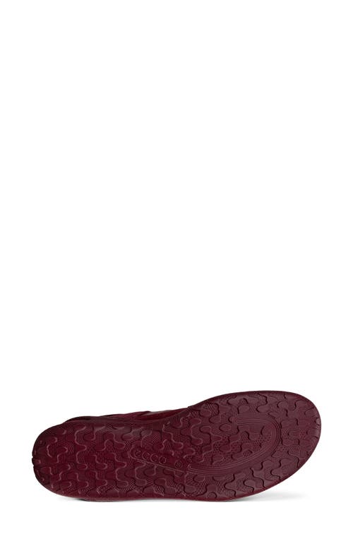 Ecco Biom Lite Sneaker In Animal Print