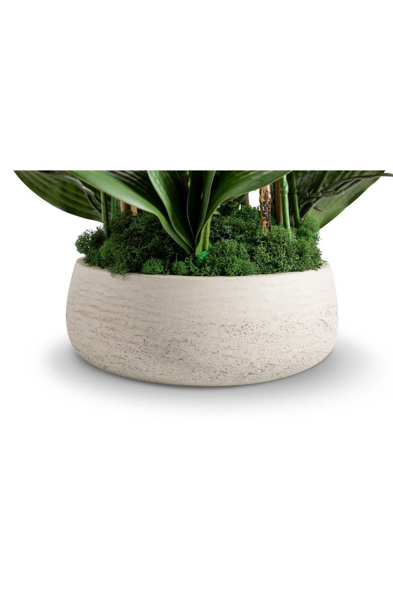 CocoBella Briar RealTouch Orchid Arrangement, Alternate, color, Snow