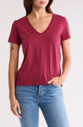 Madewell Softfade V-Neck Tee