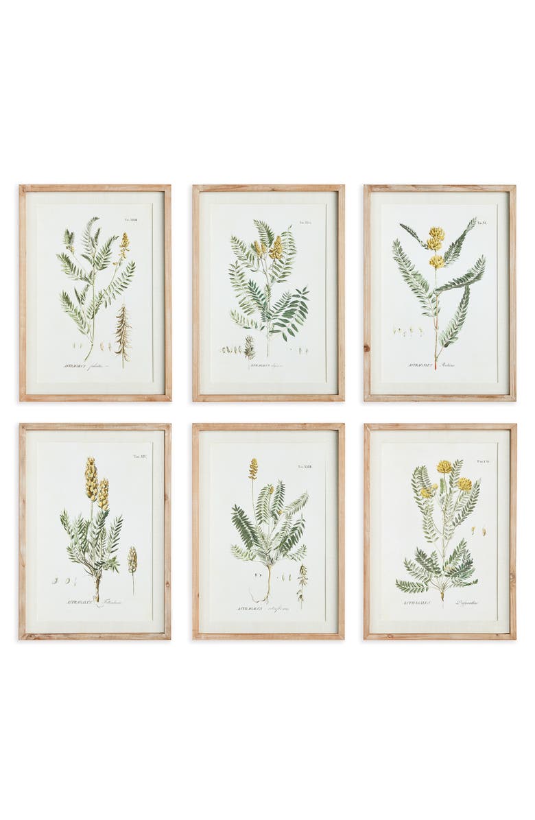 Napa Home & Garden Mid-Summer Blooms Prints Set of 6, Main, color, Green