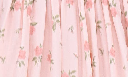 House Of Cb Womens Cloud Dancer Carmel Floral-print Stretch-cotton Mini Dress In Pink