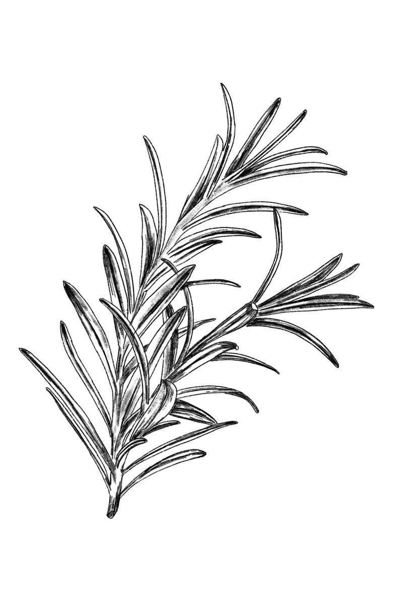 AMOUAGE Reflection Eau de Parfum, Alternate, color, 