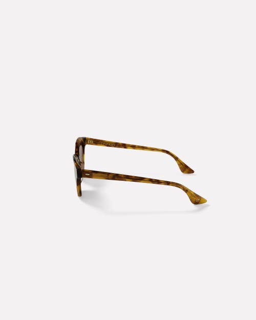 Epokhe Coil Sunglasses In Brown