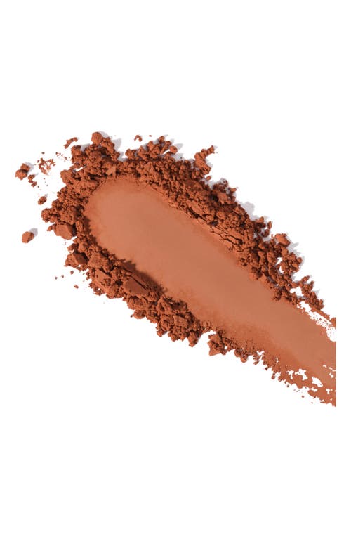 Dundas Bronzer Anonymous Face & Body Powder In Step 4-matte Mocha