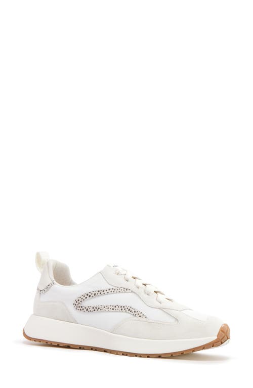 Frankie4 Axel Sneaker In Stone