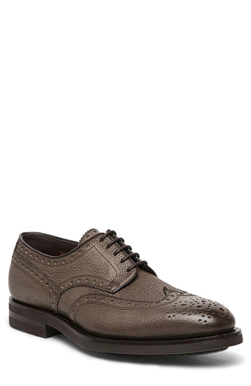 Santoni Emil Wingtip Derby in Beige 