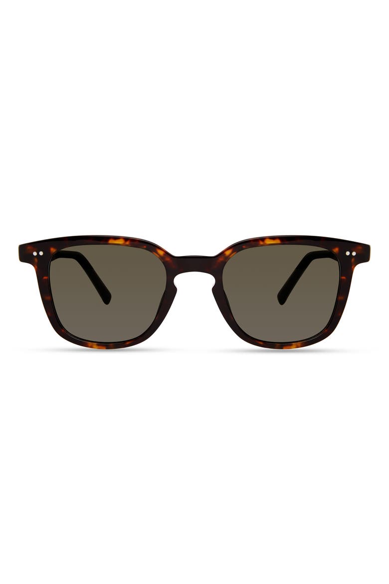 800 Sunglasses, Main, color, Tortoise