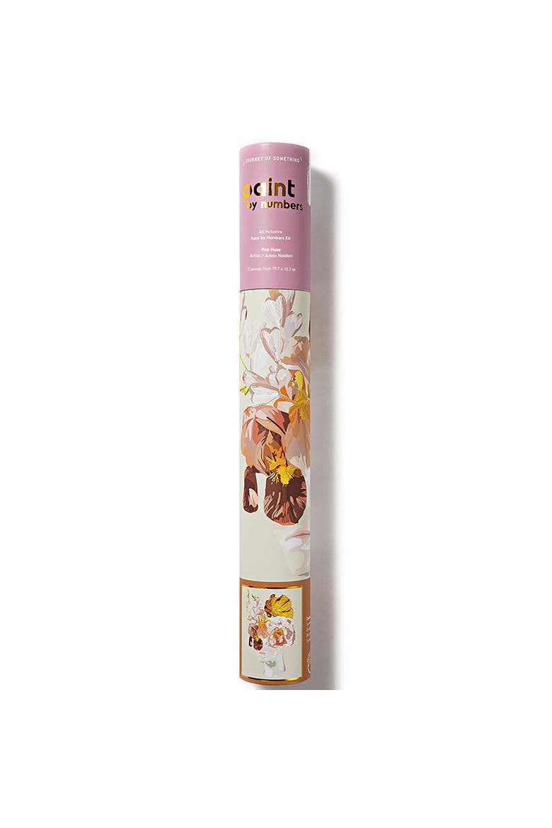 Paint By Numbers, Pink Haze, DIY Adult Painting Craft Kit, Alternate, color, Multicolored
