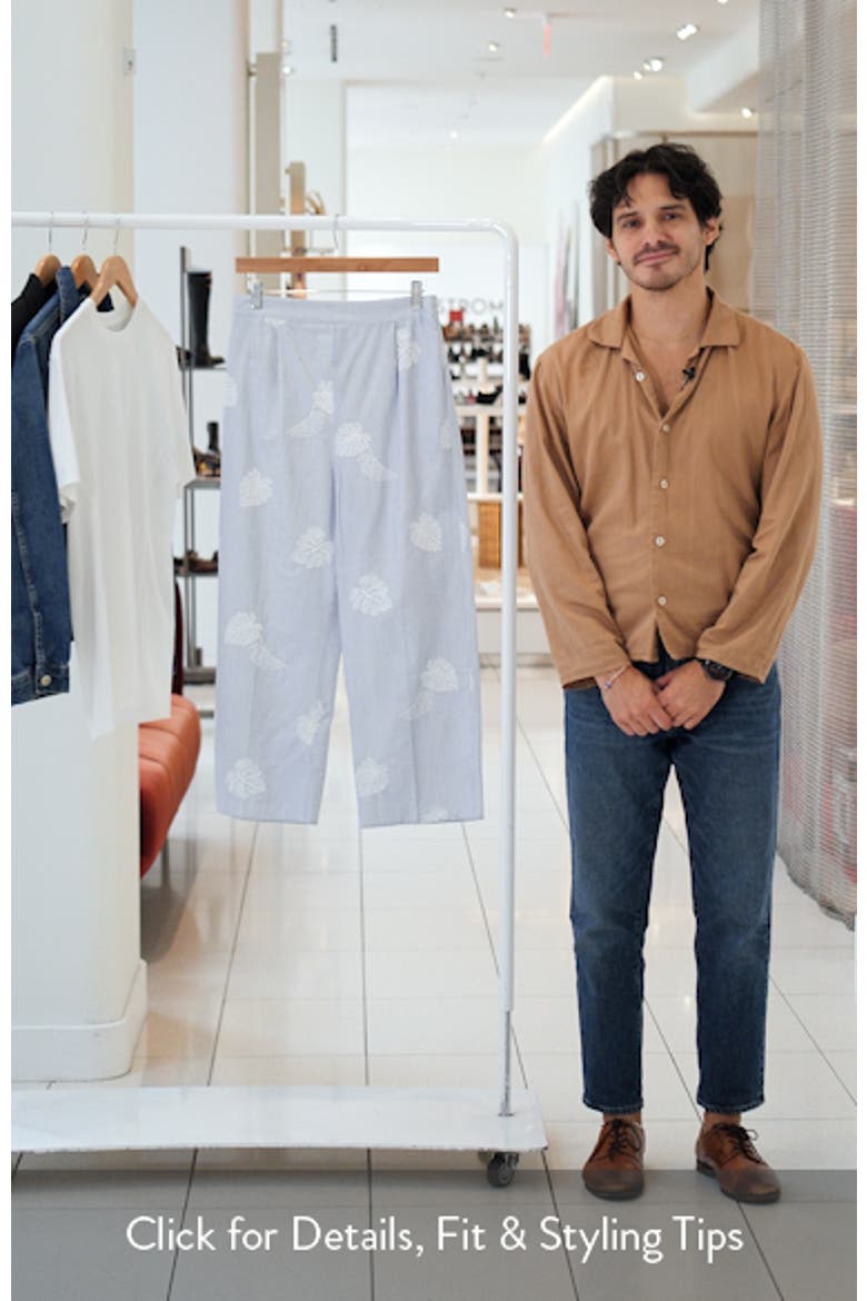 Embroidered Stripe Pants video