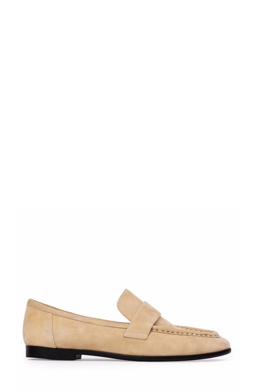 Black Suede Studio Arrow Loafer In Butter Suede