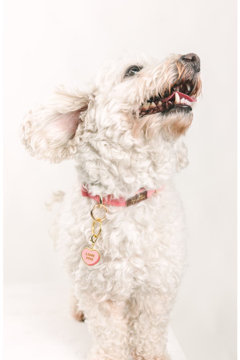 Love You Sweetheart Pet Collar Charm, Alternate, color, Love You Sweetheart