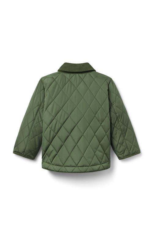 Janie And Jack The Quilted Jacket In Green