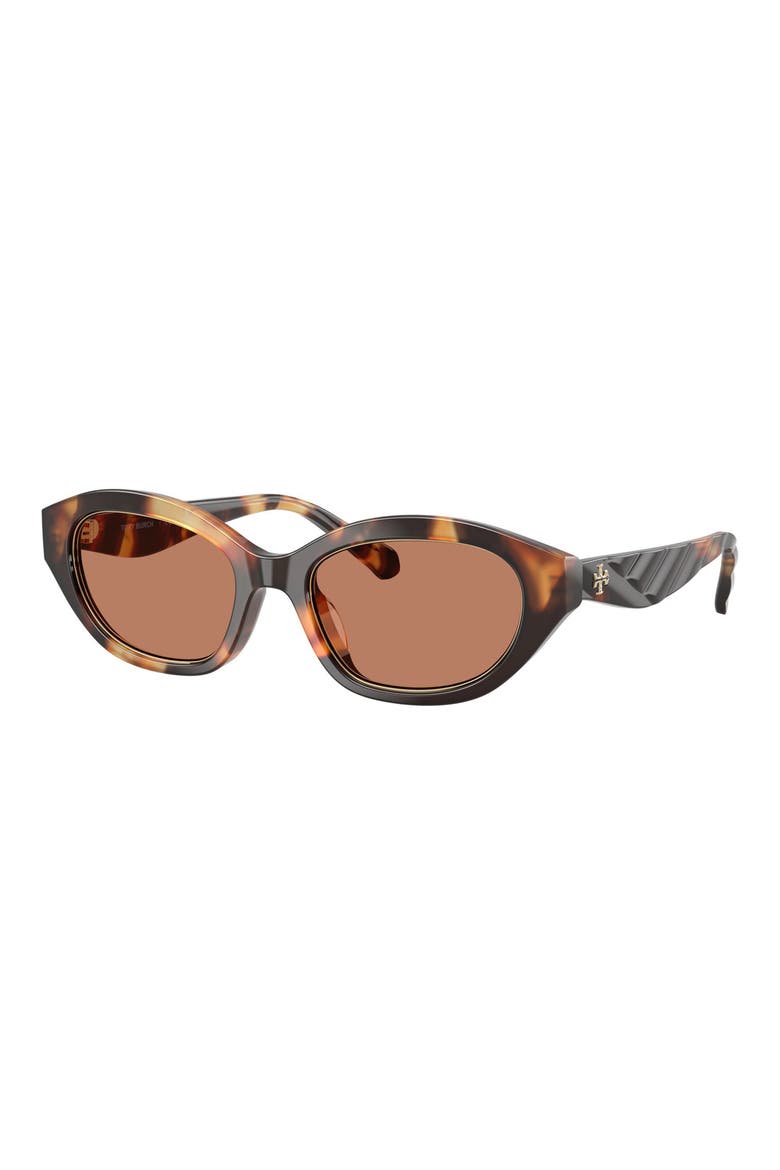52mm Irregular Sunglasses, Alternate, color, CONTRAST TORTOISE / AMBER