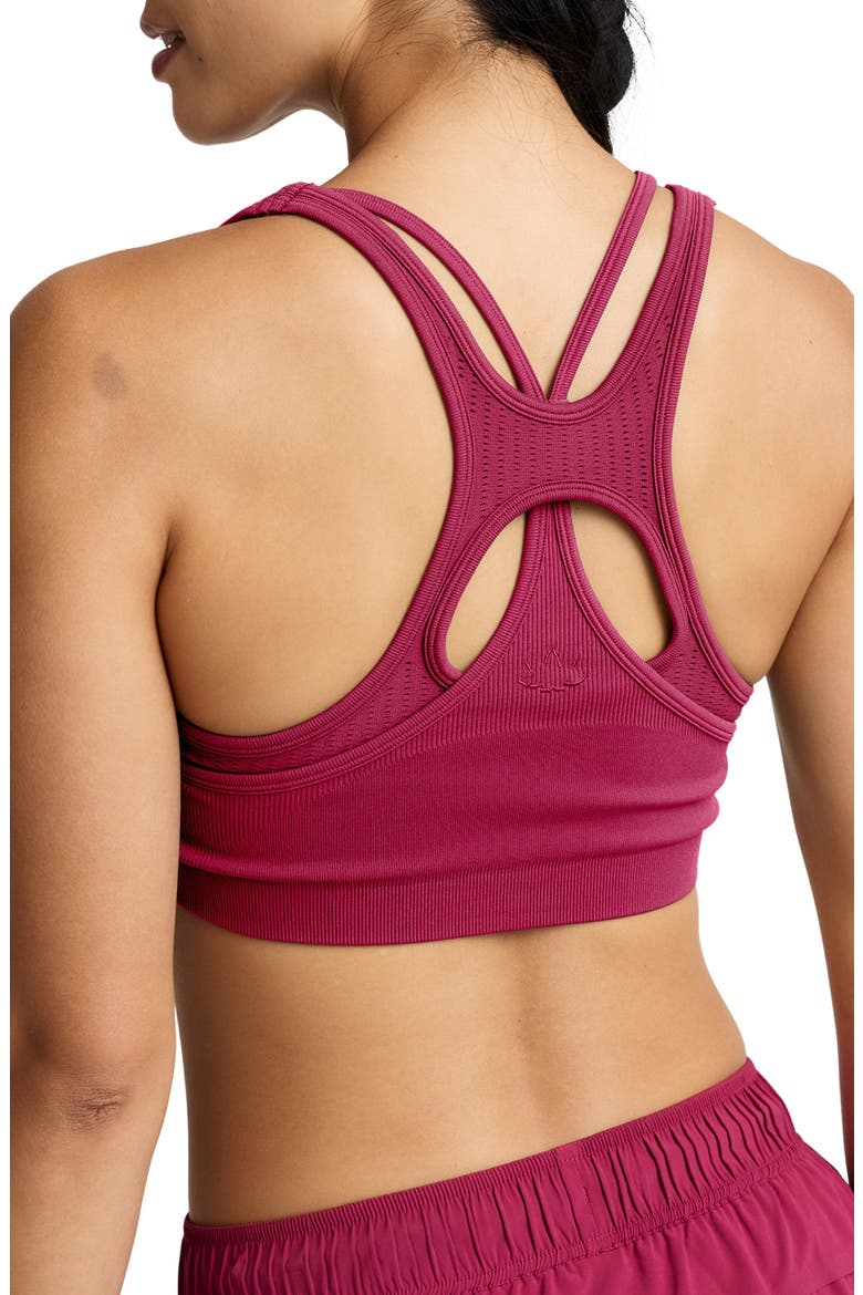 Seamless Moves Layered Sports Bra, Alternate, color, SANGRIA