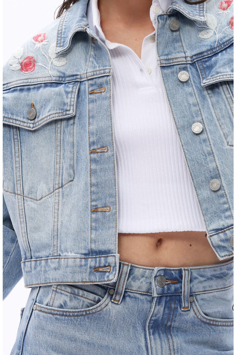 Crop Denim Jacket, Alternate, color, LIGHT BLUE