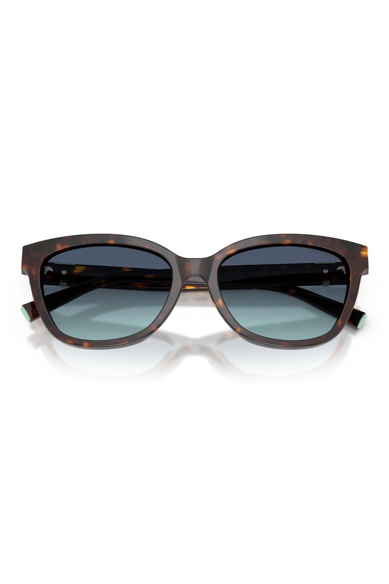 55mm Gradient Cat Eye Sunglasses, Alternate, color, HAVANA / AZURE GRADIENT BLUE